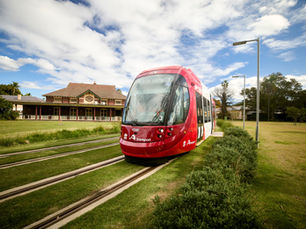The Parramatta Light Rail on the Green Track at Cumberland Hospital Grounds