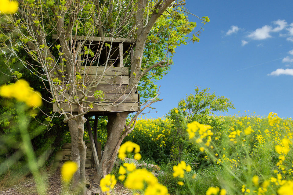 HIF_2015-17 copy.jpg