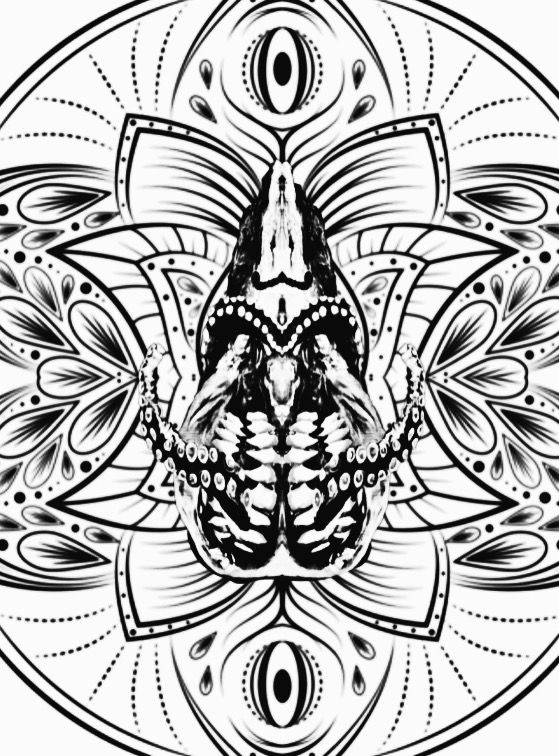 43F36806-1AAA-4A5B-9ABD-65E6F2ADABD6