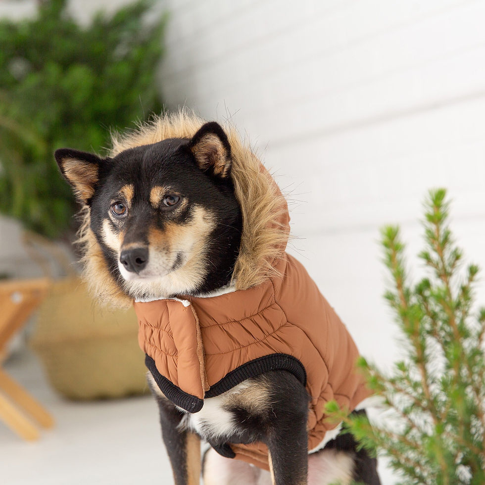 Miniaturbild: Urban Parka - Caramel