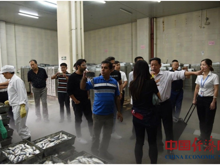 Pakistan Gwadar Fishery Delegation Visits Fujian