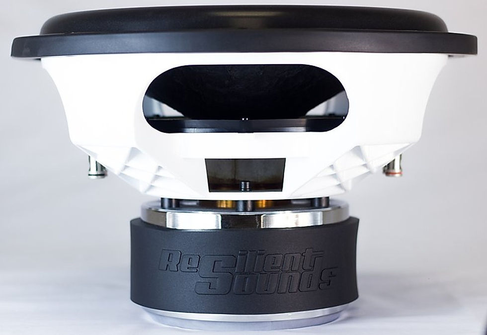 Gold Series 15 1000rms Woofer