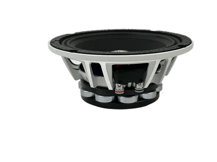 Thumbnail: Resilient Sounds NEO 6.5" 300 watts RMS 4ohm speaker