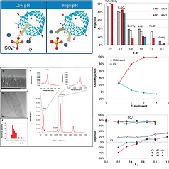 2_pH-Tunable Ion Selectivity in Carbon Nanotube Pores.tif