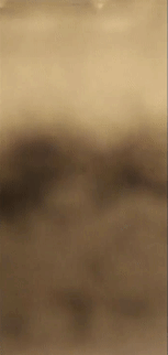 Untitled video - Made with Clipchamp (35).gif
