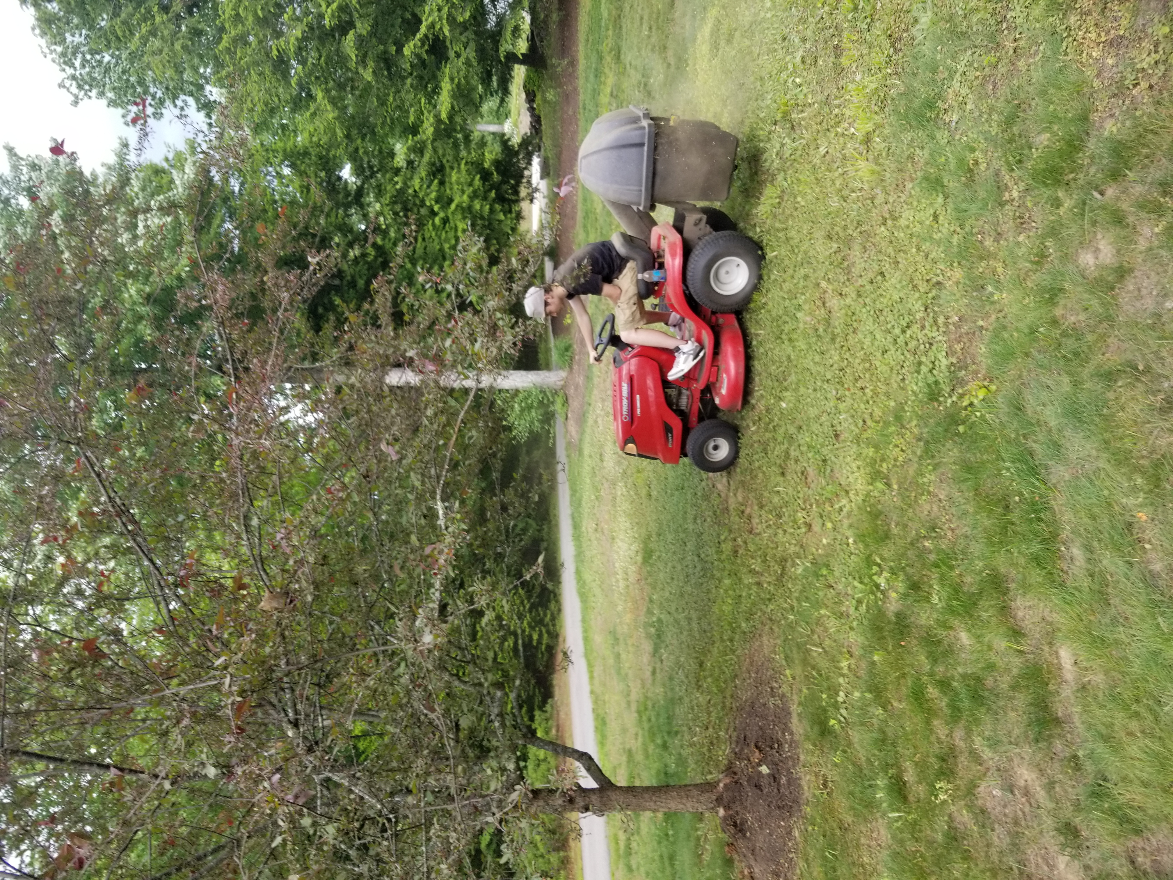 Lawns and gardens | gail