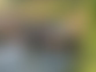 Team 1 - In the community