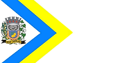 Bandeira_de_Nova_Castilho.png