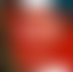 Feliz Natal e Boas Festas!