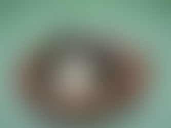 Seasonal Special: Echigo Chimaki