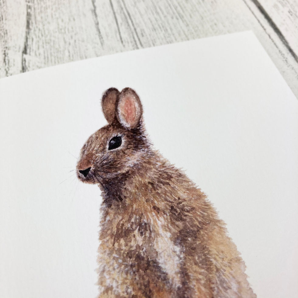 Thumbnail: Watercolour Rabbit Greetings Card