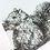 Thumbnail: Squirrel Greetings Card