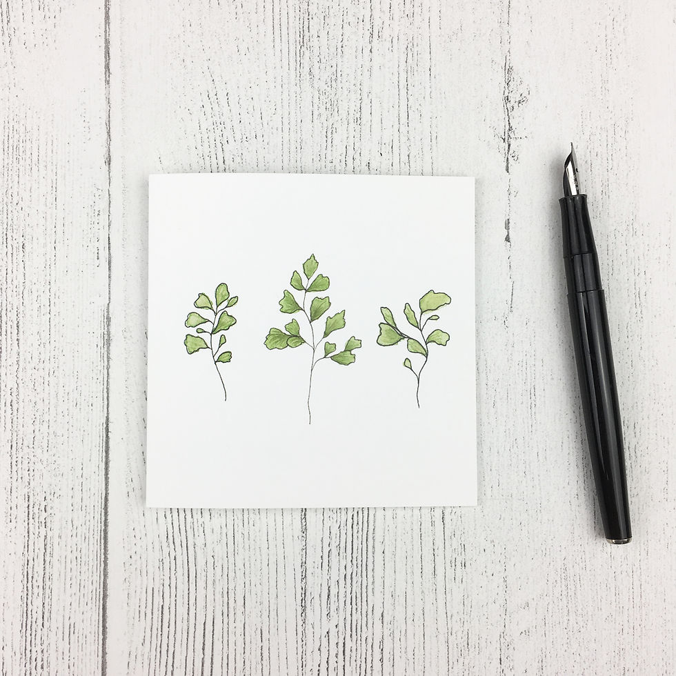Thumbnail: Fern Notecards (3 pack)