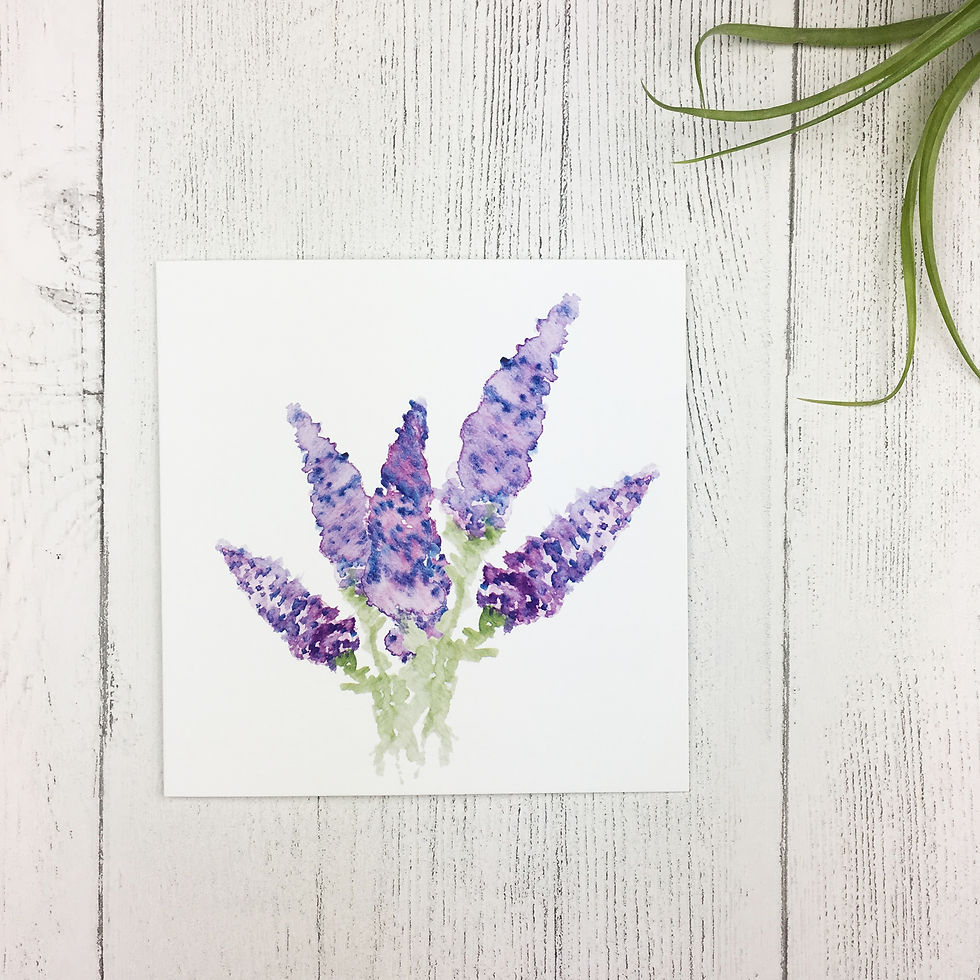 Thumbnail: Buddleia Greetings Card