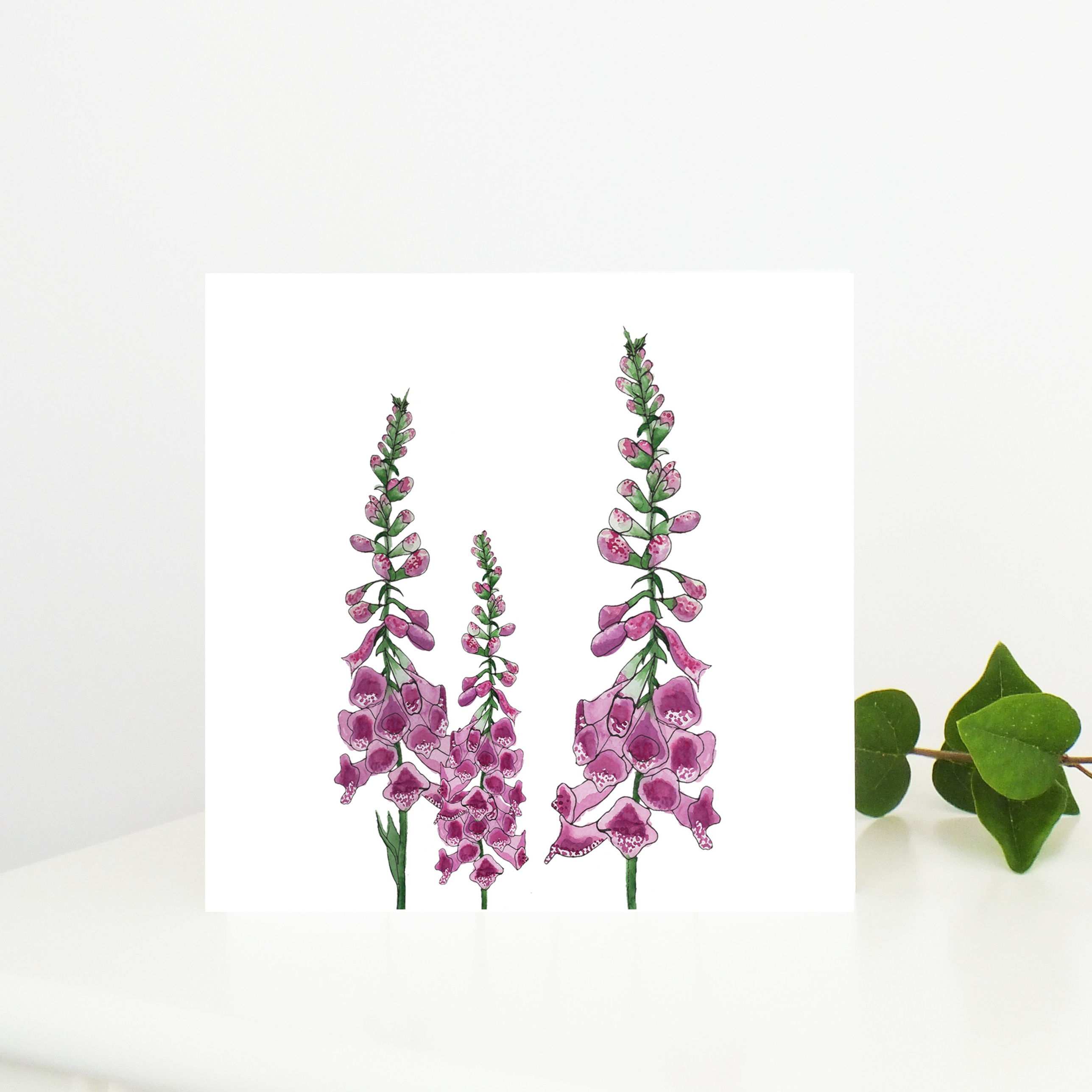 Foxglove Greetings Card