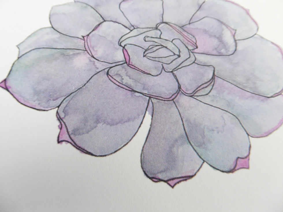 Thumbnail: Succulent Art Print