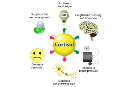 Stress and Cortisol Levels