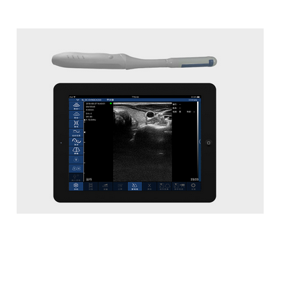 Rectal wireless colour doppler ultrasound transducer