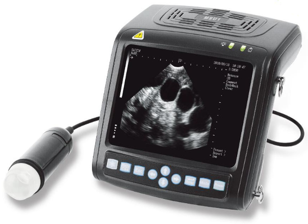 MSU1 handheld ultrasound pig scanner