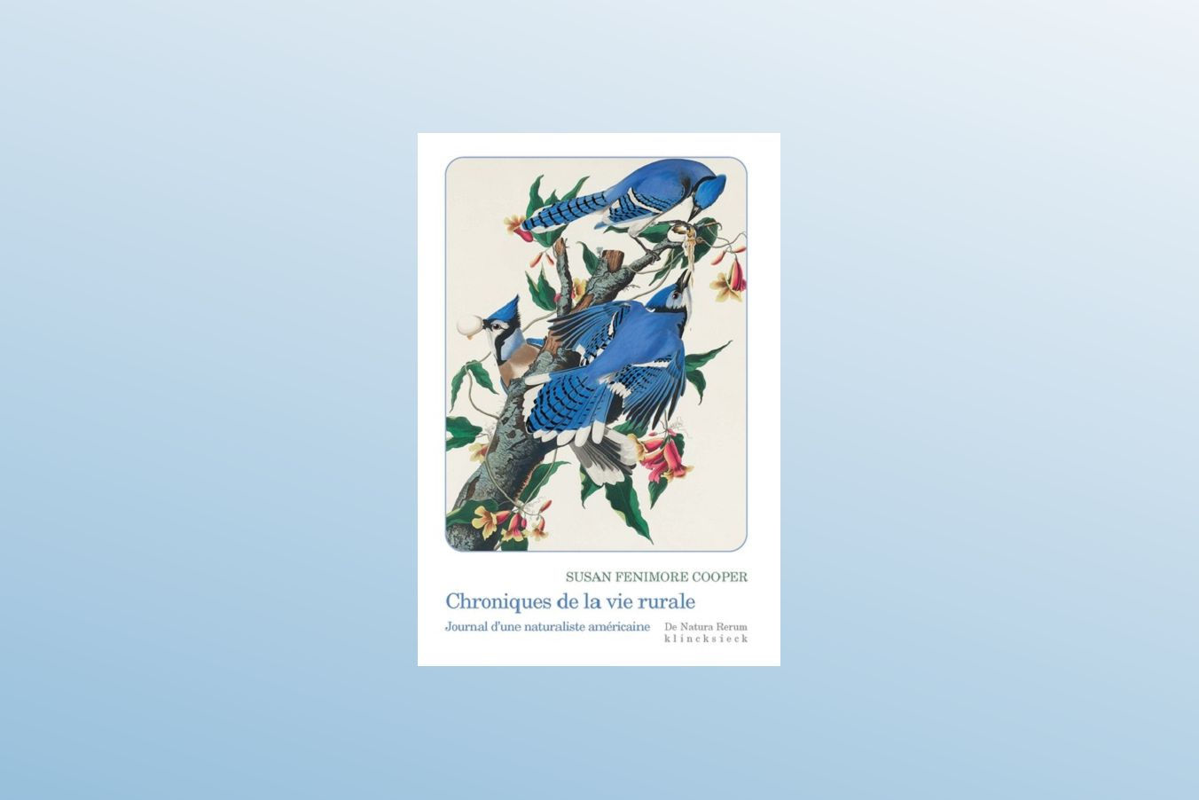 Chroniques de la vie rurale - Susan FENIMORE COOPER