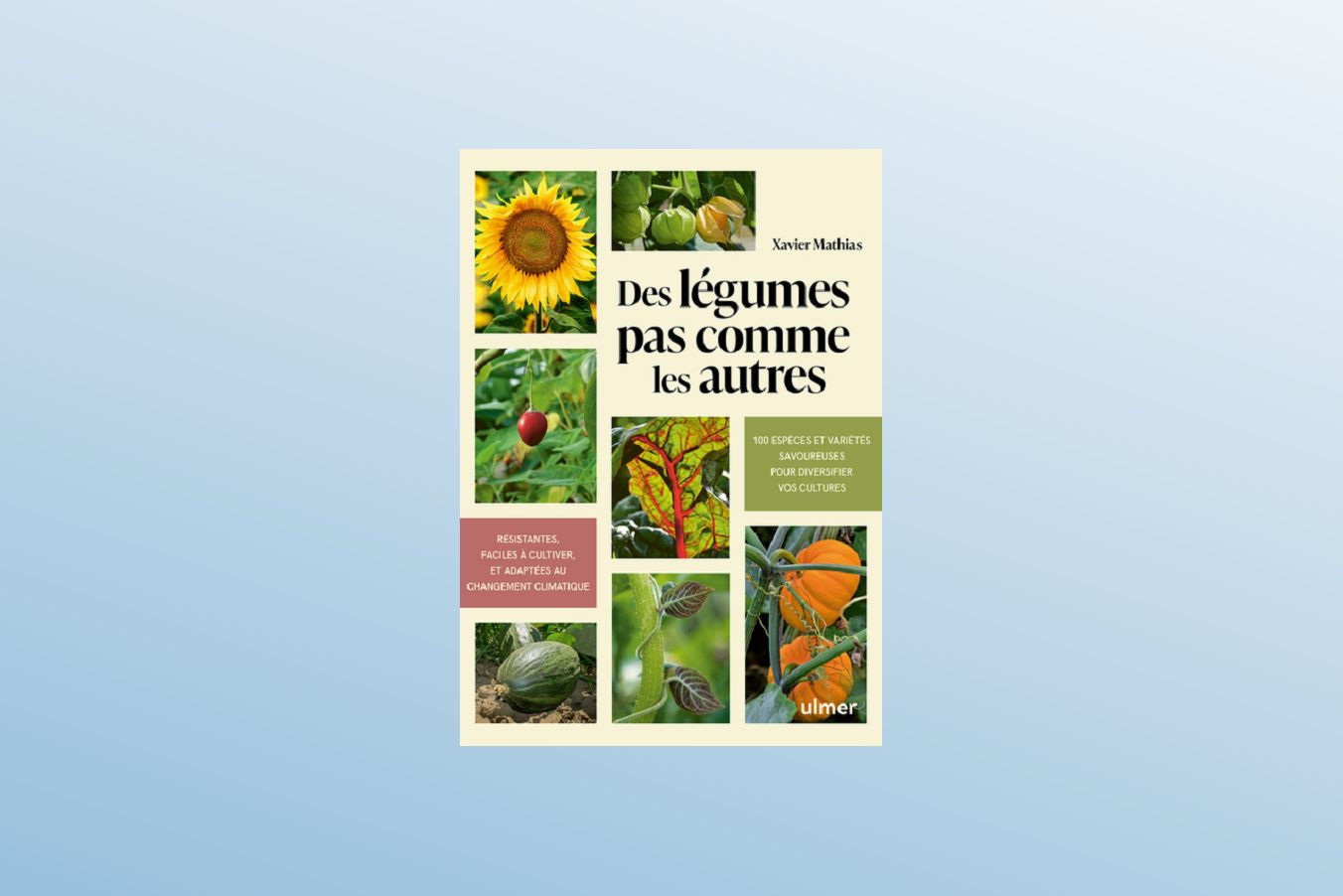 Des légumes pas comme les autres - Xavier MATHIAS