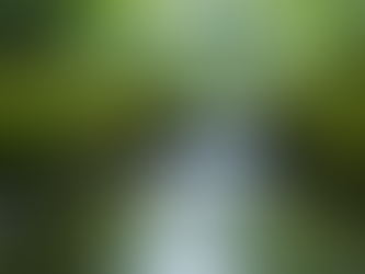 Understanding Japanese stillness - しっとり