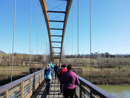 Nordic Walking nel Mugello - Lago di Bilancino 