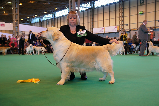 Screenshot 2020-06-11 at 15.34.58.png