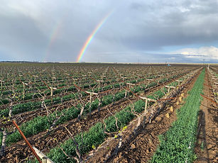 GT_LDDM_DoubleRainbow.jpeg