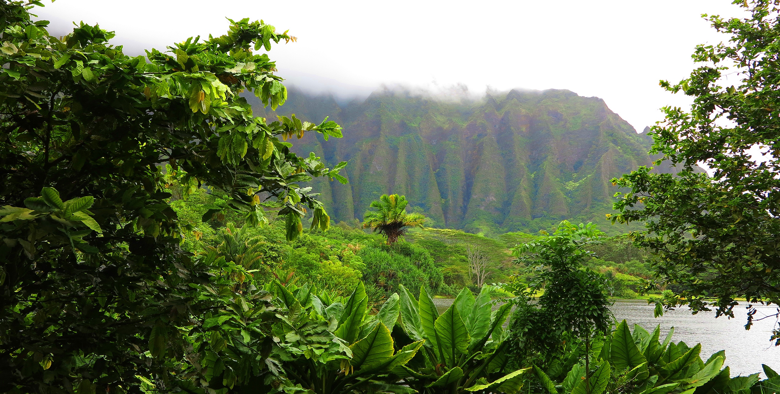 Off grid in Hawaii Honolulu Living off grid in Hawaii