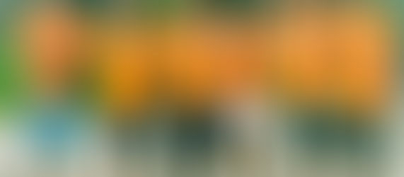 Protecting Hawaii with 808 Cleanups