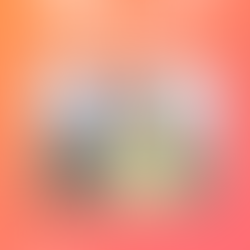 🏰✈️ Orlando Julho 2026