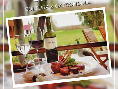 🍷✨ Viva uma experiência única no Uruguai!