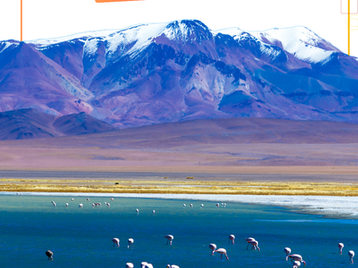 Grupo San Pedro de Atacama com a RCA!