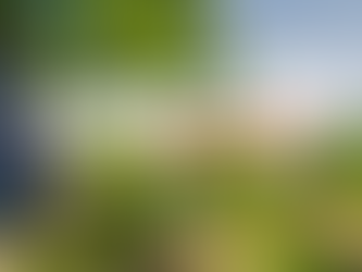 🍷✈️ Mendoza Julho 2026