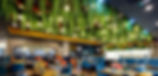 Beleza Restaurant Trailing Plants_edited.jpg