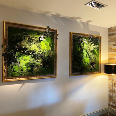 Moss Wall Panels in Gilded Frames