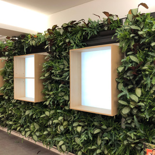 Indoor Living Wall For Office Interior