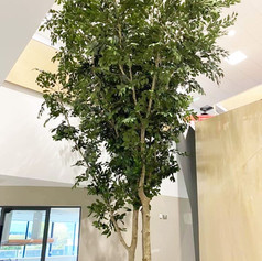 Large Bespoke 5m Tall Artificial Green Tree