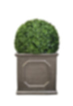 London Cube Planter with Boxwood Ball
