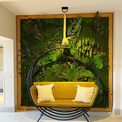 Moss Wall in Oak Frame