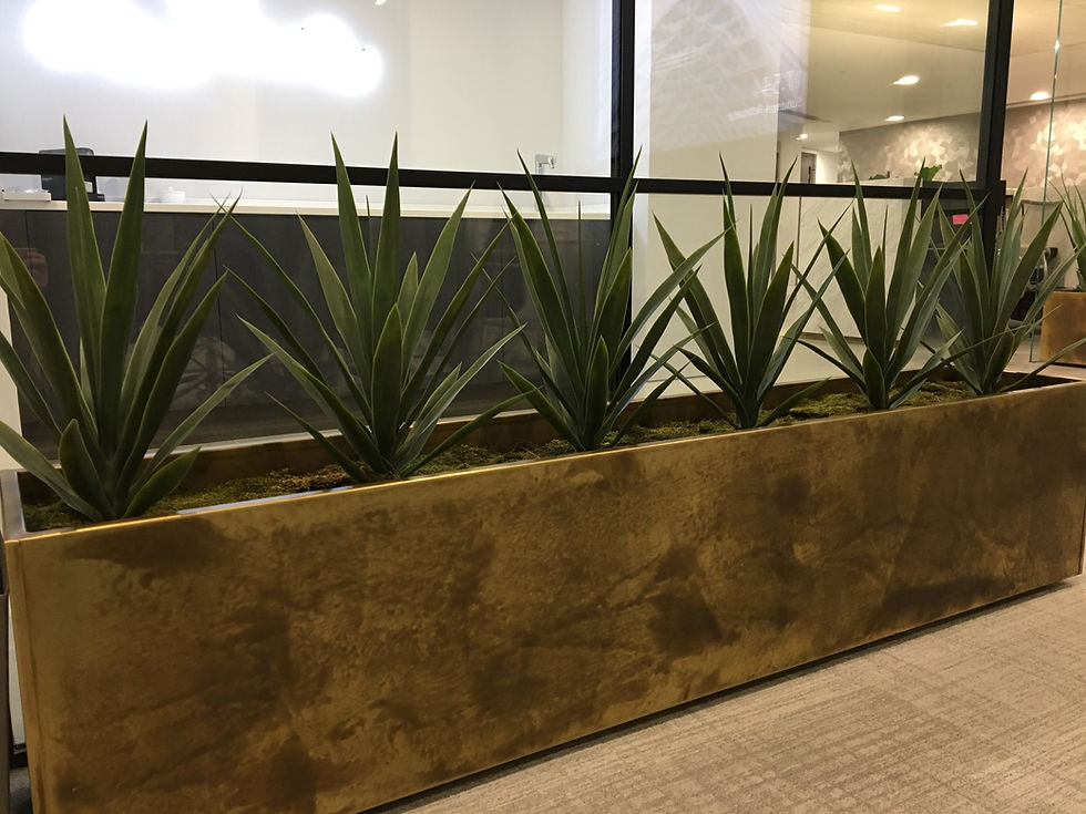Artificial Office Plants Installation