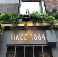 Exterior Artificial Plants For Pubs & Restaurants