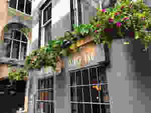 Pub design artificial plants