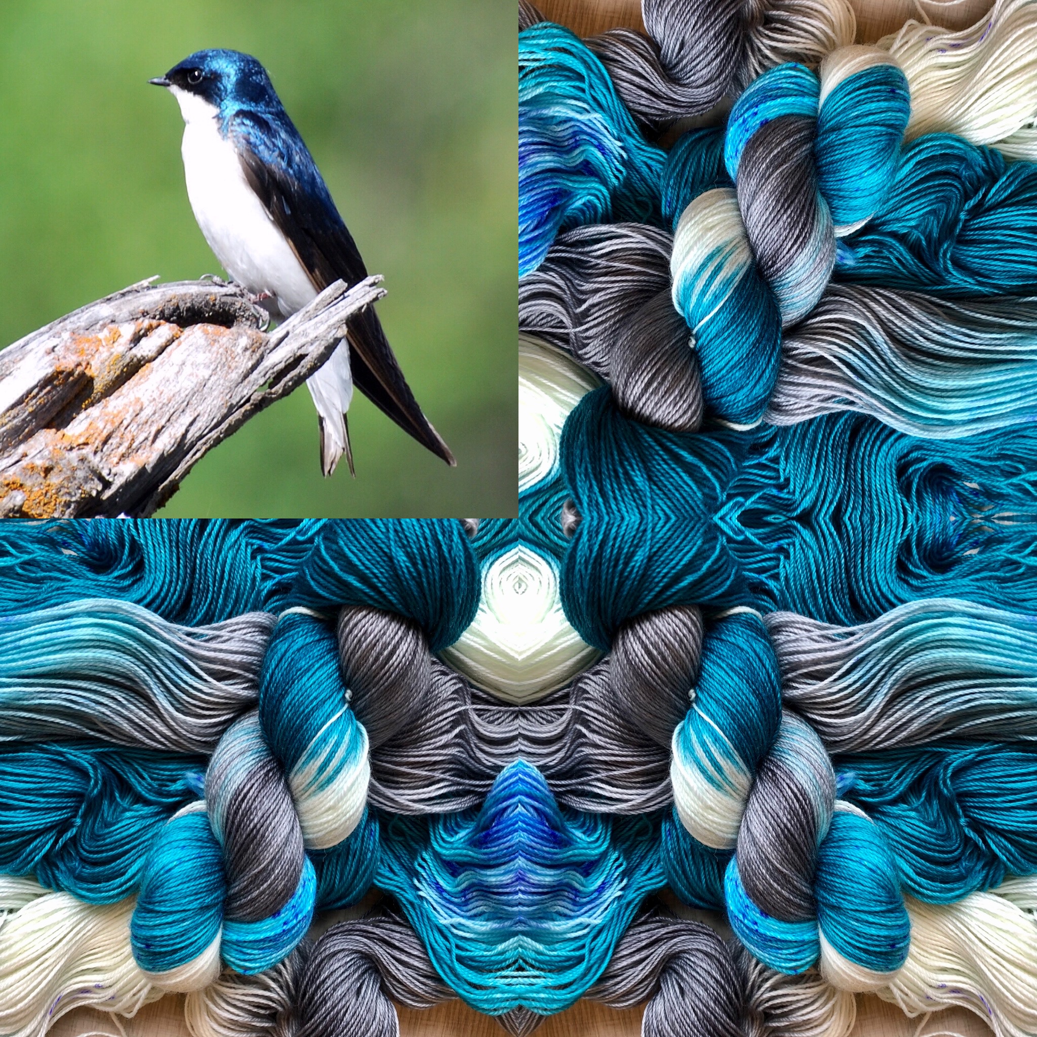 Songbird Yarn and Fibres