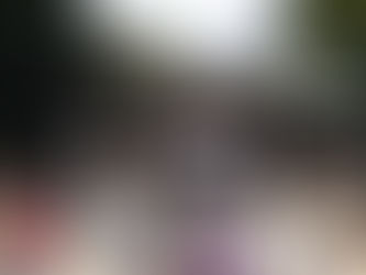 2020年02月のぶらり行楽会