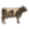 HalalBeef,Organic Beef,Cattle,Roast Beef,Beef Steak,Ox,Bovines,Angus Beef,Kobe Beef,Cow,Buffalo,Livestock,Domesticated Animal,Wagyu Beef,Veal,Farm Animal