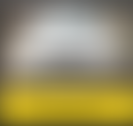 아우디 A4 자동차유리 교환 작업기 / 오래된 차량은 더욱 신경써서 작업해야 합니다.