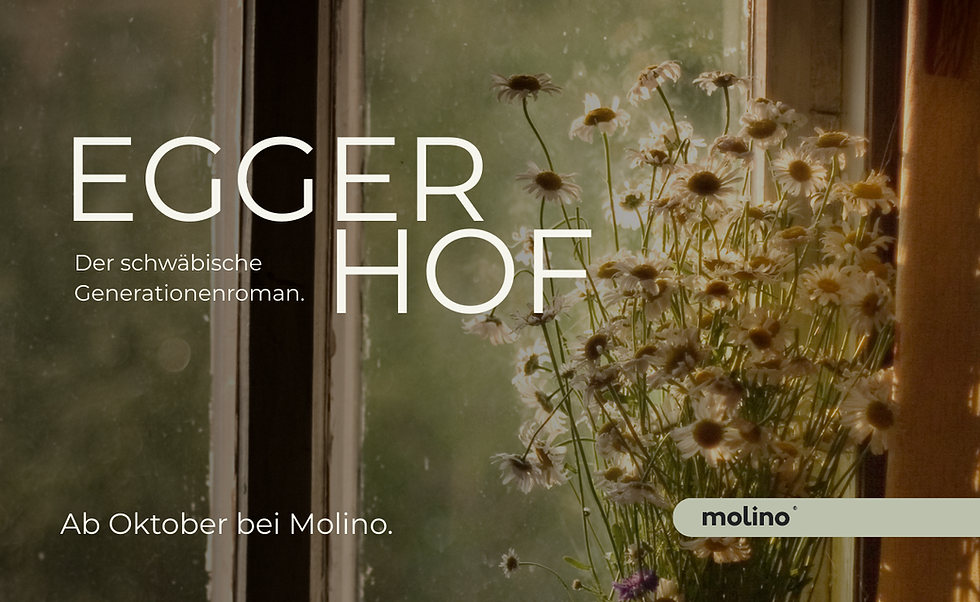 Slider Molino.png