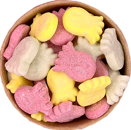 JELLY MEERKATS
